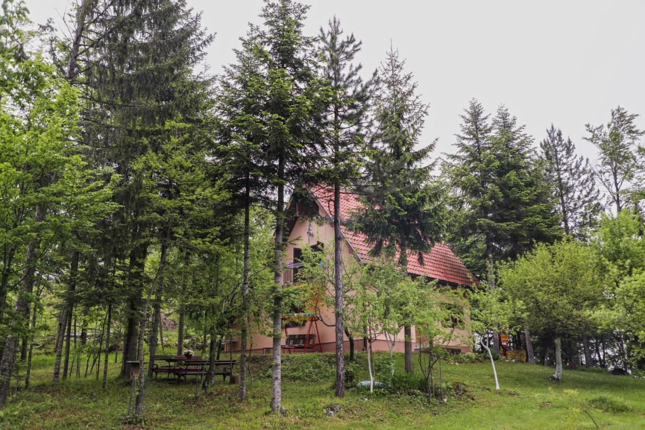 Dren - Banjska Stena Митровац Экстерьер фото