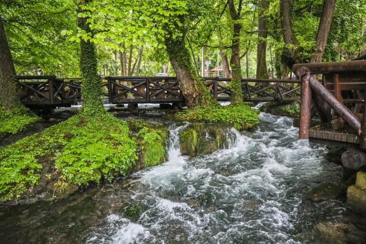 Dren - Banjska Stena Митровац Экстерьер фото